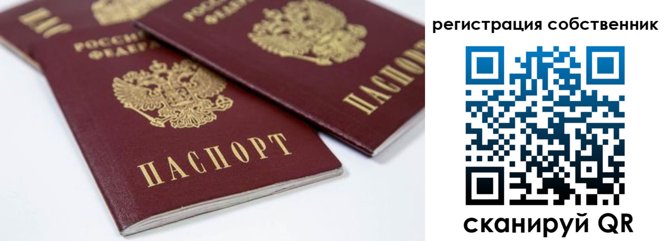 прописка для школы в Тихорецке